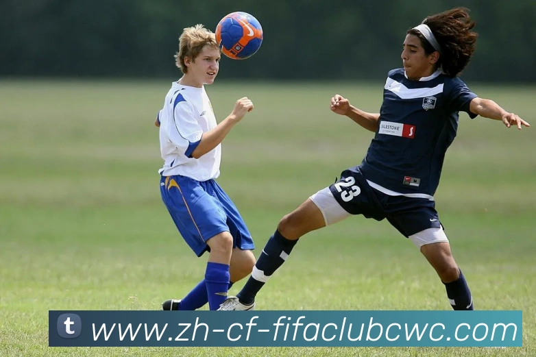 多媒体互动体验