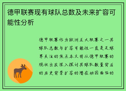 德甲联赛现有球队总数及未来扩容可能性分析