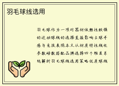 羽毛球线选用